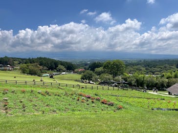 まかいの牧場に投稿された画像（2024/8/13）