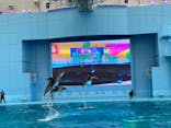 横浜・八景島シーパラダイスに投稿された画像（2024/8/13）