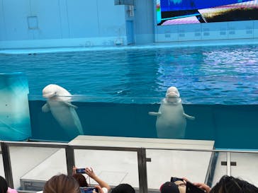 横浜・八景島シーパラダイスに投稿された画像（2024/8/13）