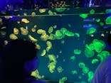 名古屋港水族館に投稿された画像（2024/8/13）