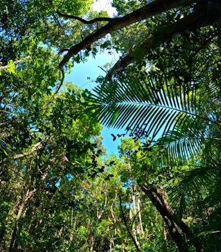 西表島 ADVENTURE PiPi（アドベンチャーピピ）に投稿された画像（2024/8/13）