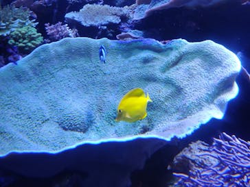 名古屋港水族館に投稿された画像（2024/8/13）