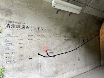 清津峡渓谷トンネルに投稿された画像（2024/8/13）