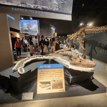 福井県立恐竜博物館に投稿された画像（2024/8/13）
