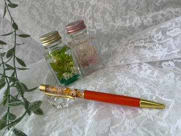 ずこうしつ〜sugamo〜に投稿された画像（2024/8/13）