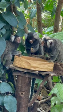 神戸どうぶつ王国に投稿された画像（2024/8/13）