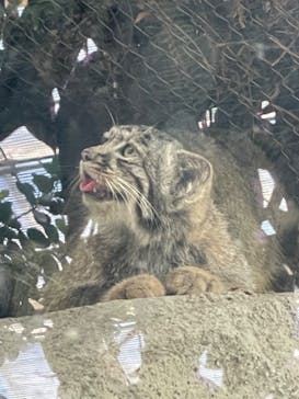 神戸どうぶつ王国に投稿された画像（2024/8/13）