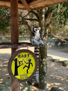 姫路セントラルパークに投稿された画像（2024/8/13）