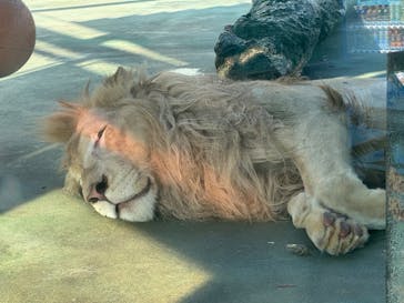 姫路セントラルパークに投稿された画像（2024/8/13）