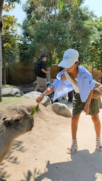 神戸どうぶつ王国に投稿された画像（2024/8/13）