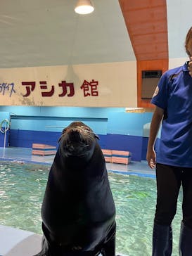 ゼロ距離水族館 伊勢シーパラダイスに投稿された画像（2024/8/13）