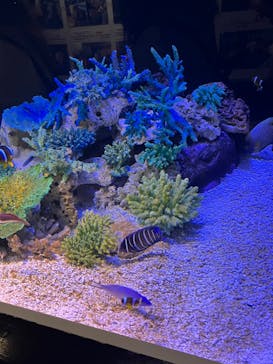 竹島水族館に投稿された画像（2024/8/13）