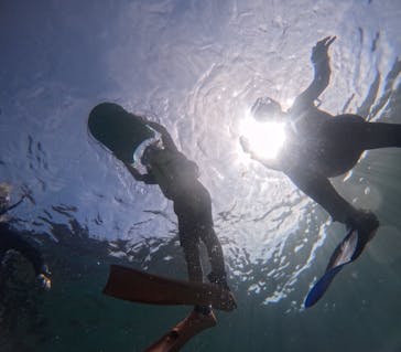 マリンステーション堂ヶ島に投稿された画像（2024/8/13）