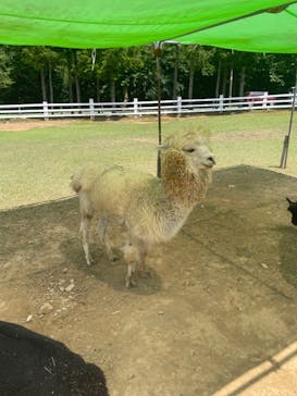 牧歌の里に投稿された画像（2024/8/13）