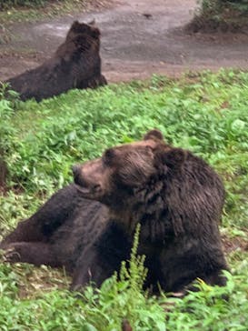サホロリゾート　ベア･マウンテンに投稿された画像（2024/8/13）