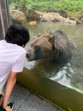 サホロリゾート　ベア･マウンテンに投稿された画像（2024/8/13）