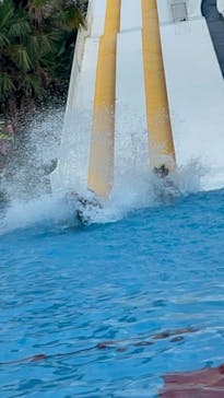 しらこばと水上公園（埼玉県公園緑地協会）に投稿された画像（2024/8/13）