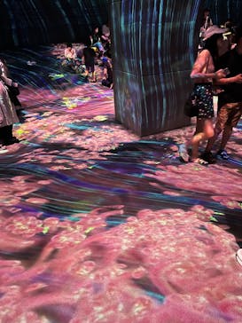 チームラボフォレスト 福岡 - SBI証券に投稿された画像（2024/8/13）