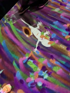 チームラボフォレスト 福岡 - SBI証券に投稿された画像（2024/8/13）