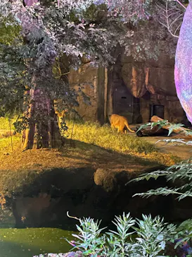 天王寺動物園に投稿された画像（2024/8/13）