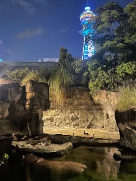 天王寺動物園に投稿された画像（2024/8/13）