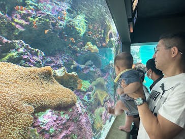 サンシャイン水族館に投稿された画像（2024/8/13）