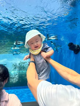 サンシャイン水族館に投稿された画像（2024/8/13）