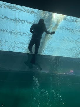 環境水族館アクアマリンふくしまに投稿された画像（2024/8/13）