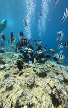 青の洞窟専門店　沖縄ダイビングショップ和に投稿された画像（2024/8/13）