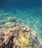 西表島 ADVENTURE PiPi（アドベンチャーピピ）に投稿された画像（2024/8/13）