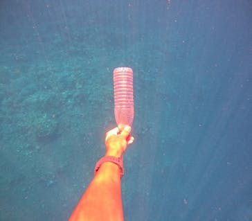 西表島 ADVENTURE PiPi（アドベンチャーピピ）に投稿された画像（2024/8/13）