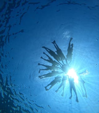 西表島 ADVENTURE PiPi（アドベンチャーピピ）に投稿された画像（2024/8/13）