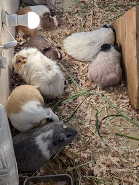 アニタッチ MARK IS 静岡に投稿された画像（2024/8/13）