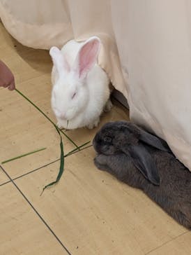 アニタッチ MARK IS 静岡に投稿された画像（2024/8/13）