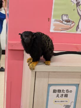 アニタッチ MARK IS 静岡に投稿された画像（2024/8/13）