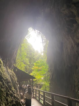 秋芳洞に投稿された画像（2024/8/13）