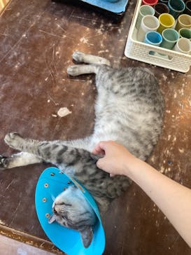 蒼林窯に投稿された画像（2024/8/13）