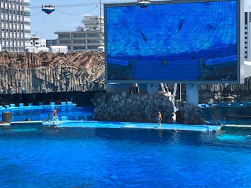 名古屋港水族館に投稿された画像（2024/8/13）
