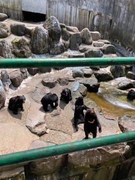 奥飛騨クマ牧場に投稿された画像（2024/8/13）