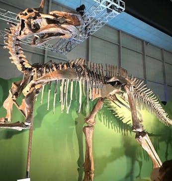巨大恐竜展2024に投稿された画像（2024/8/13）