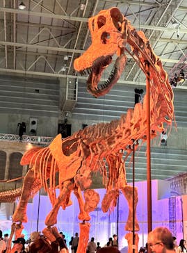 巨大恐竜展2024に投稿された画像（2024/8/13）