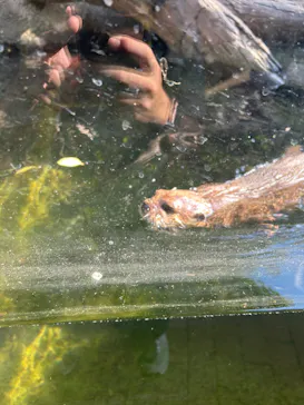 ひらかたパークに投稿された画像（2024/8/13）