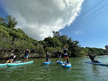 沖縄海うさぎ・海あしびに投稿された画像（2024/8/13）