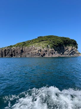 東尋坊観光遊覧船株式会社に投稿された画像（2024/8/13）