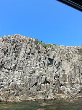 東尋坊観光遊覧船株式会社に投稿された画像（2024/8/13）