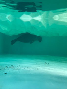 滋賀県立琵琶湖博物館に投稿された画像（2024/8/13）