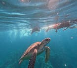  マリンショップHAPPYに投稿された画像（2024/8/13）