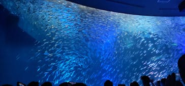 名古屋港水族館に投稿された画像（2024/8/13）