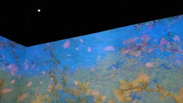 Immersive Museum OSAKA 2025に投稿された画像（2024/8/13）