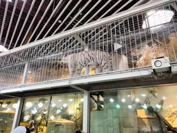 NIFREL（ニフレル）に投稿された画像（2024/8/13）